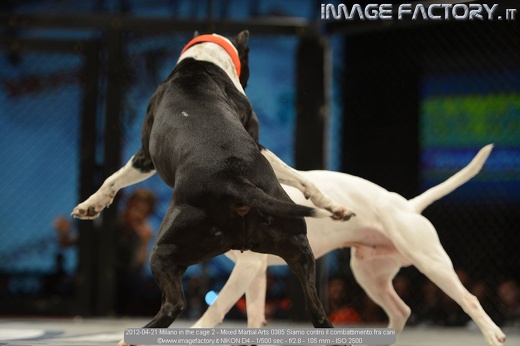 2012-04-21 Milano in the cage 2 - Mixed Martial Arts 0385 Siamo contro il combattimento fra cani